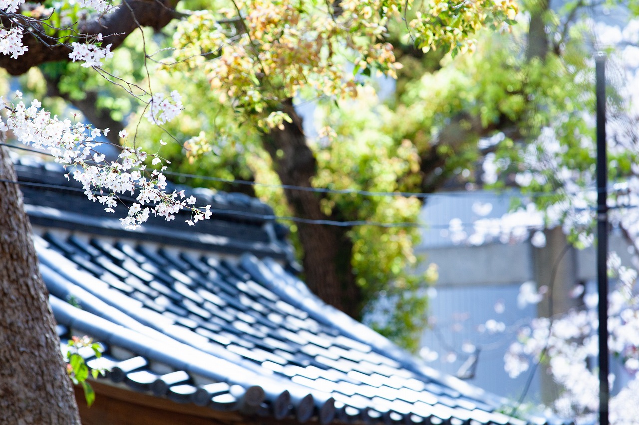 AdobeStock_261039809